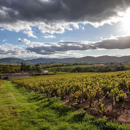 مبيت وإفطار Régnié Les Glycines - Domaine Gilles Coperet المظهر الخارجي الصورة