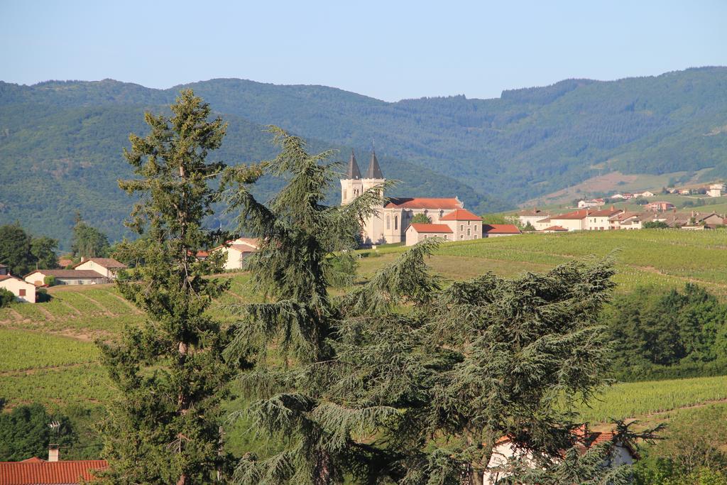 مبيت وإفطار Régnié Les Glycines - Domaine Gilles Coperet المظهر الخارجي الصورة