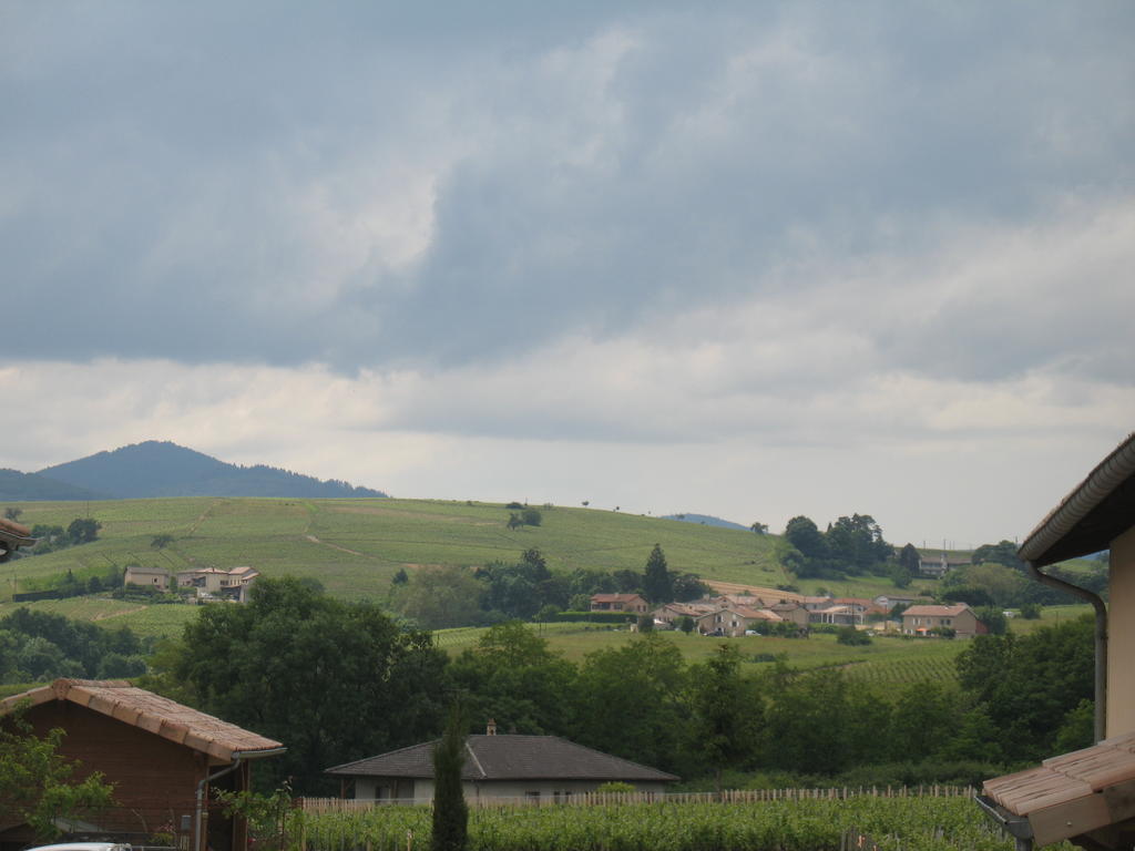 مبيت وإفطار Régnié Les Glycines - Domaine Gilles Coperet المظهر الخارجي الصورة